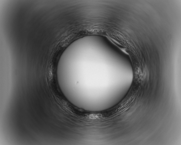 X0000096180566200802081502