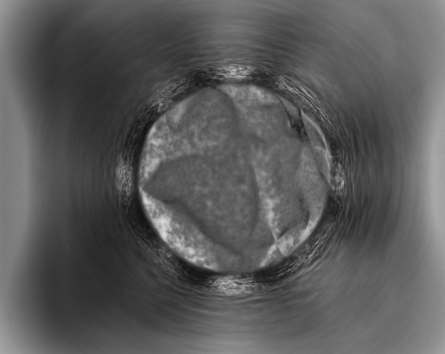 X0000096180568200802081502