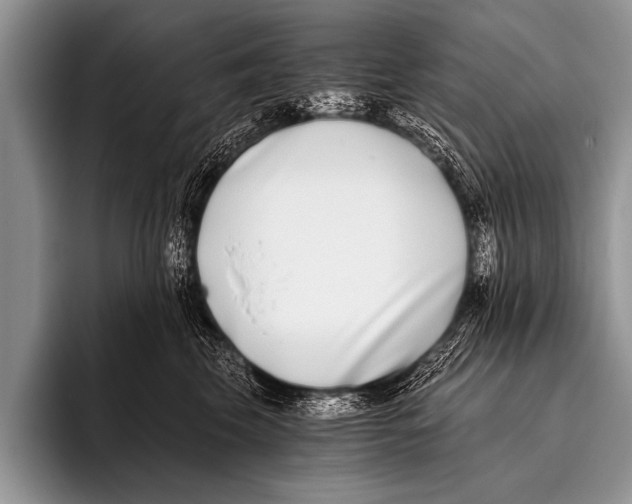 X0000096180569200802081502