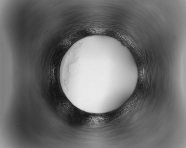 X0000096180572200802081502