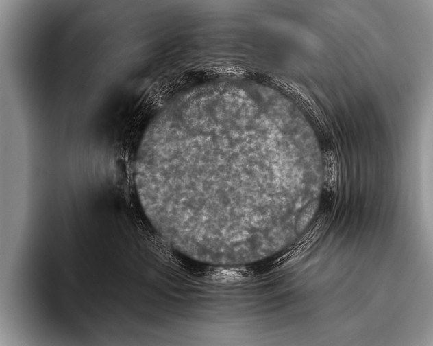 X0000096180573200802081502