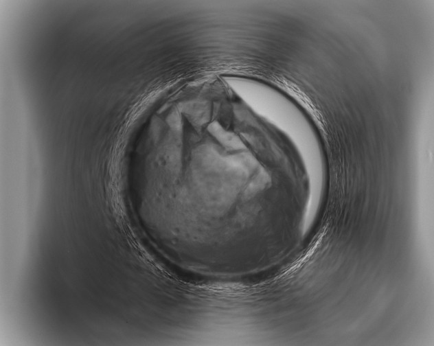 X0000096180577200802081501