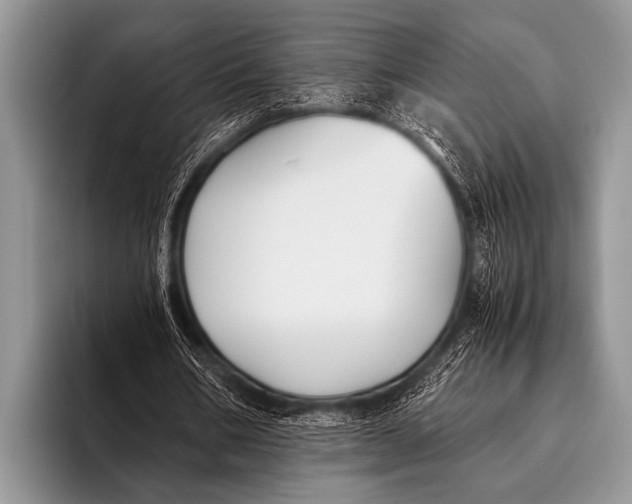 X0000096180578200802081501