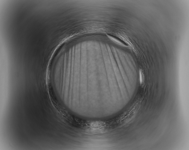 X0000096180579200802081501