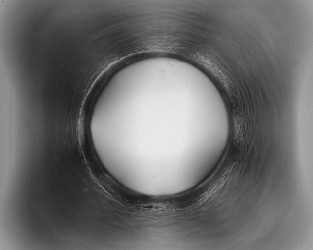 X0000096180580200802081501