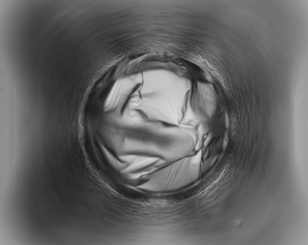 X0000096180581200802081501