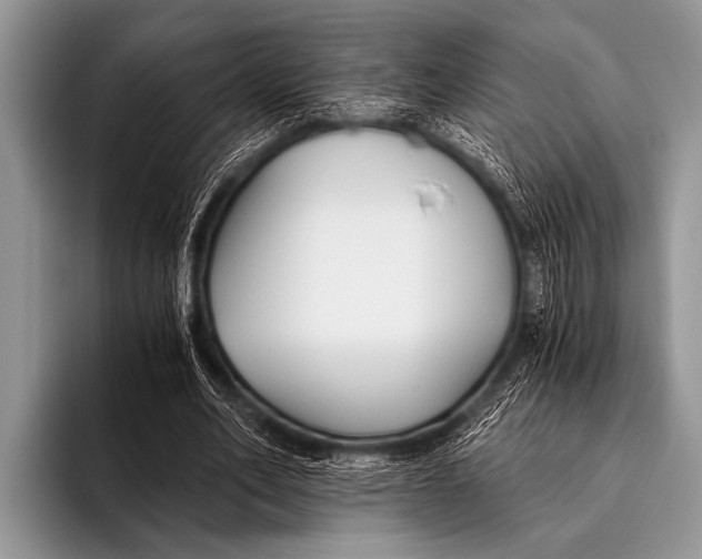 X0000096180582200802081501