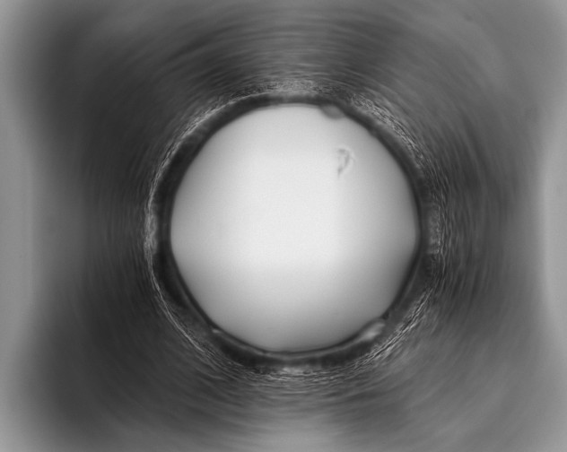 X0000096180584200802081501