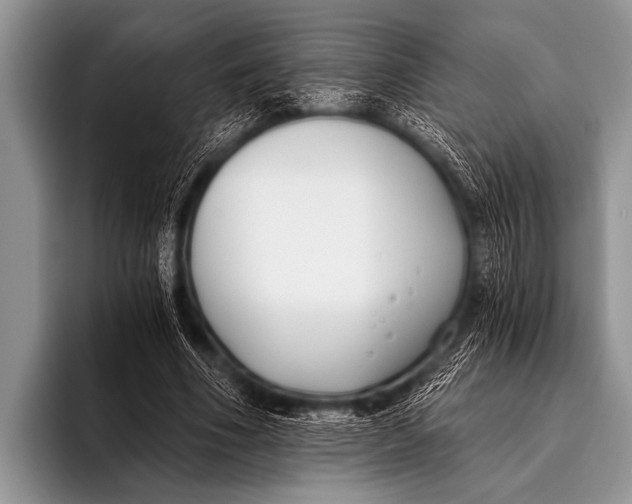 X0000096180586200802081501