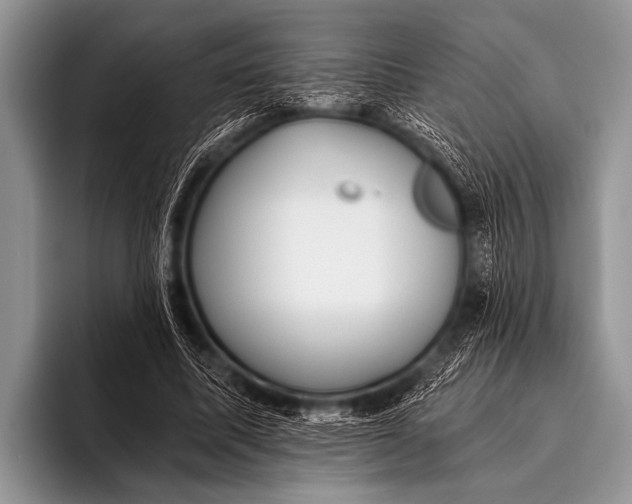 X0000096180587200802081501