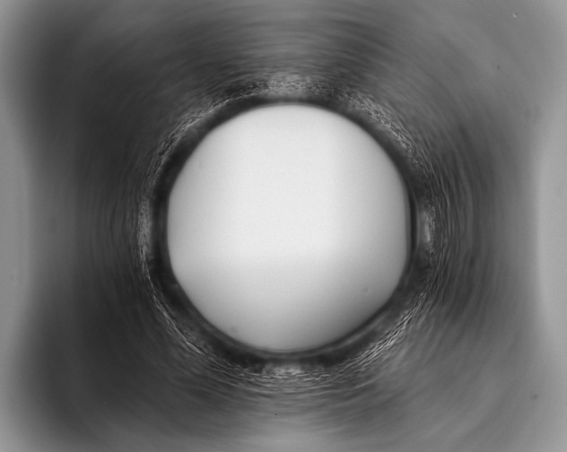 X0000096180588200802081501