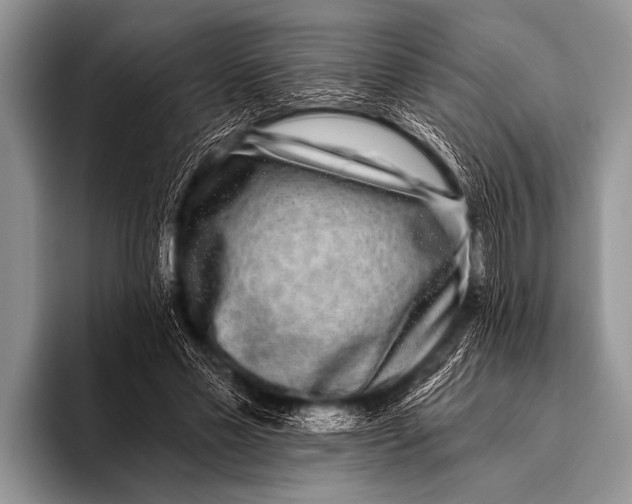 X0000096180589200802081501
