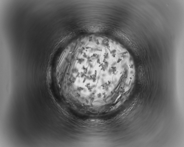 X0000096180590200802081501