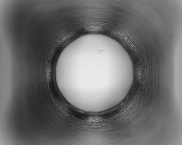 X0000096180591200802081501