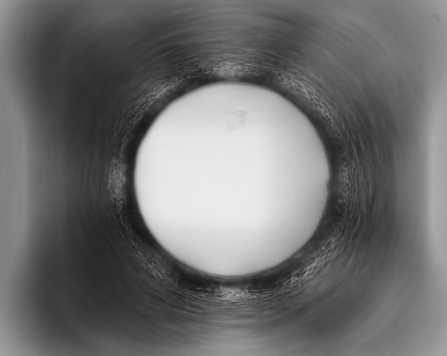 X0000096180592200802081501