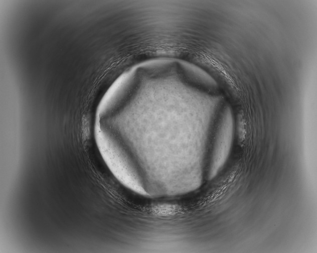 X0000096180593200802081501