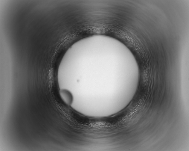 X0000096180594200802081501