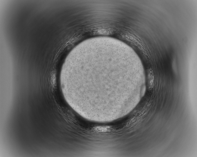 X0000096180595200802081501