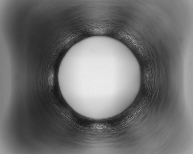 X0000096180596200802081501