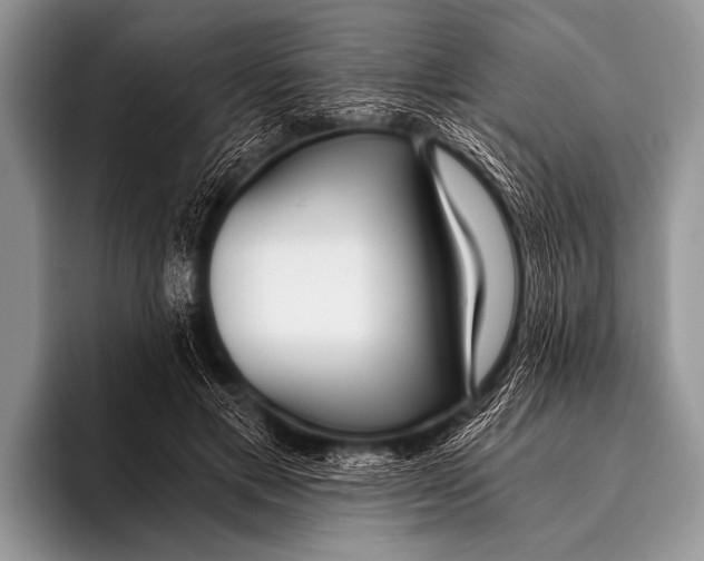 X0000096180597200802081501