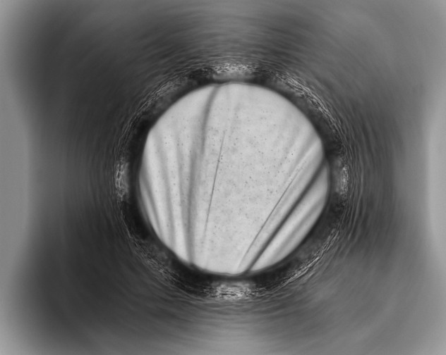 X0000096180599200802081501