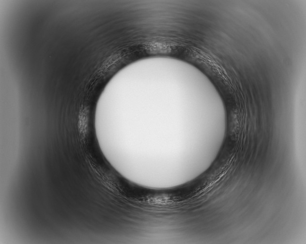 X0000096180600200802081501