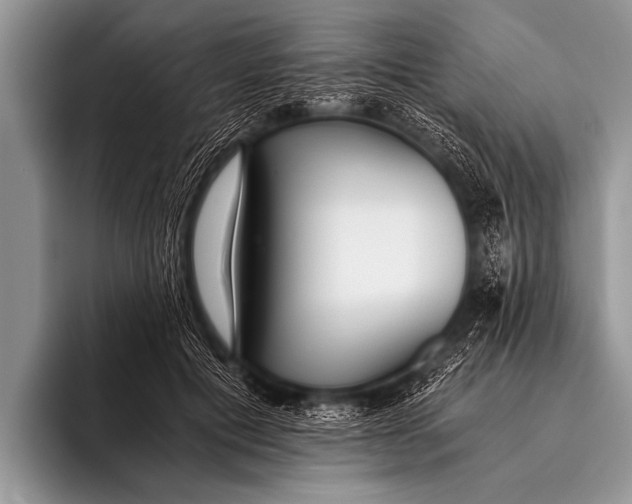 X0000096180601200802081501