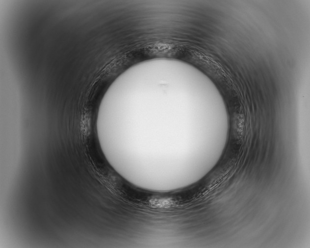 X0000096180602200802081501