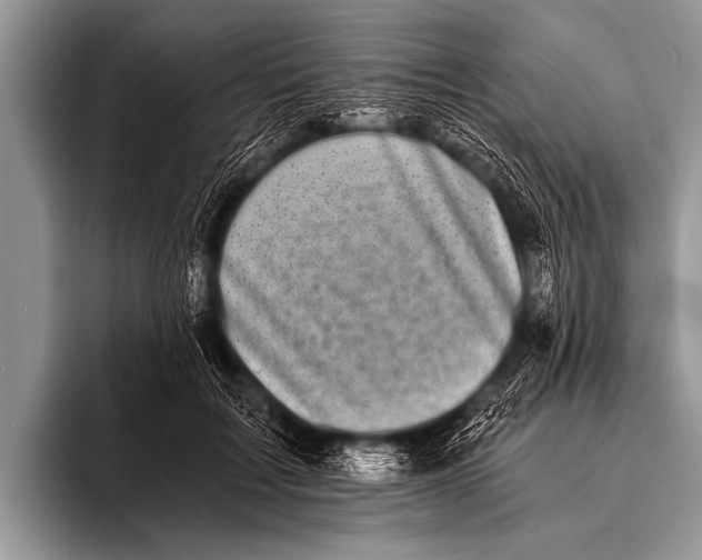 X0000096180603200802081501