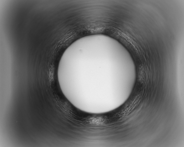 X0000096180604200802081501