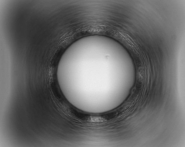 X0000096180605200802081501