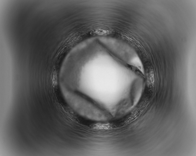 X0000096180606200802081501