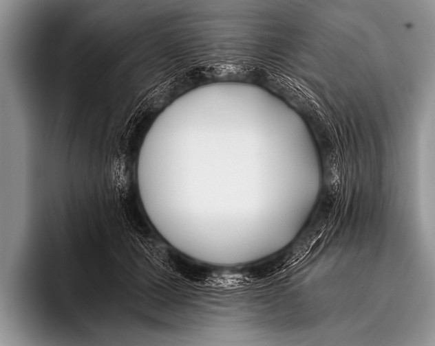 X0000096180607200802081501