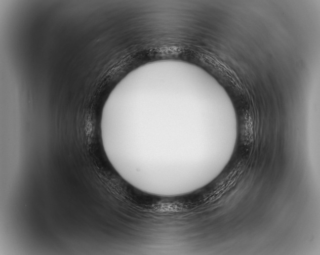 X0000096180608200802081501