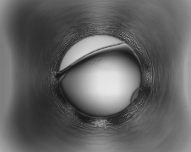 X0000096180609200802081501