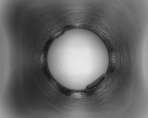 X0000096180611200802081501