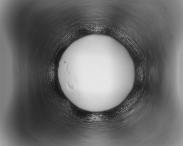 X0000096180612200802081501