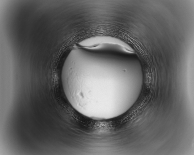X0000096180613200802081501
