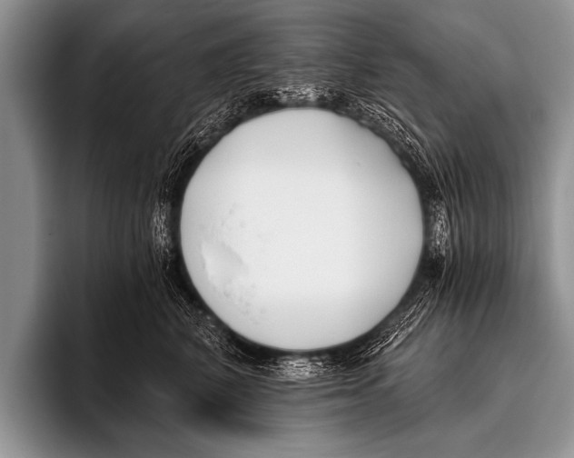 X0000096180616200802081501