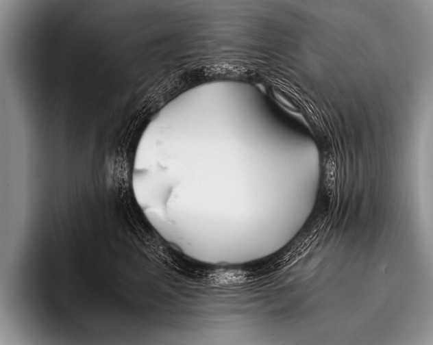 X0000096180617200802081501