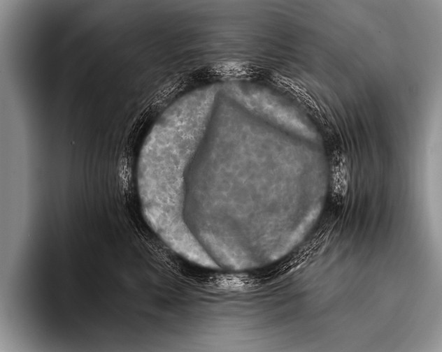X0000096180618200802081501