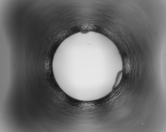 X0000096180619200802081501