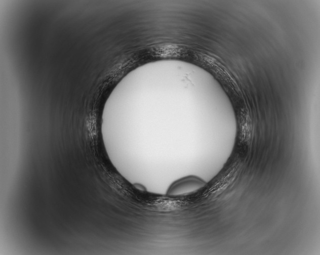 X0000096180620200802081501