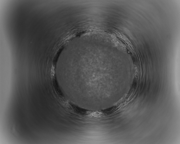X0000096180621200802081501
