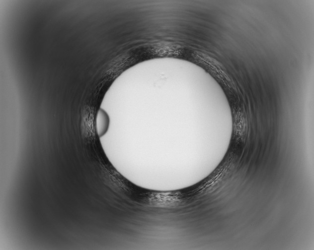 X0000096180622200802081501