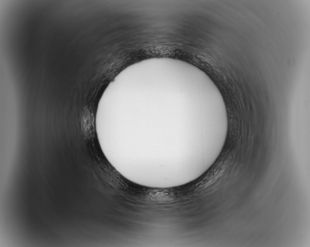 X0000096180624200802081501