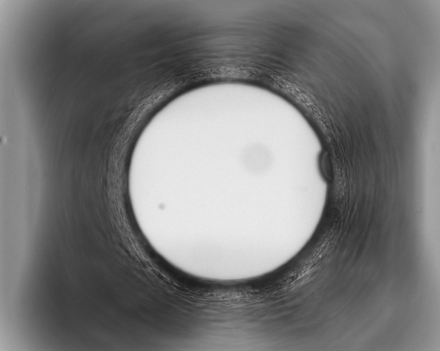 X0000096180625200802081500