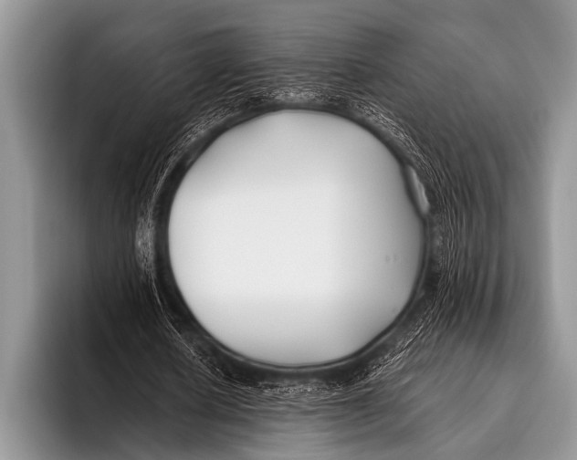 X0000096180626200802081500