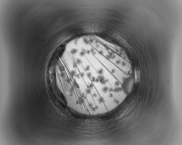 X0000096180627200802081500