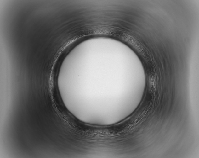 X0000096180628200802081500
